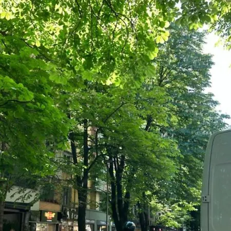 Nocleg ze śniadaniem Block 3*